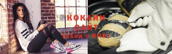 бошки Горняк
