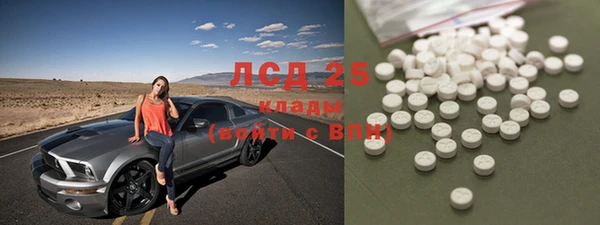 бошки Горняк