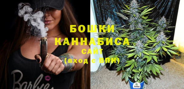 бошки Горняк