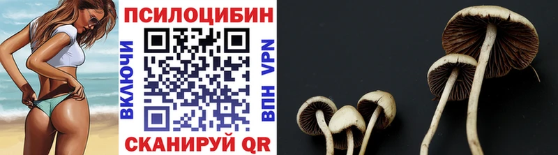 mega ссылки  Карабаново  Псилоцибиновые грибы ЛСД 